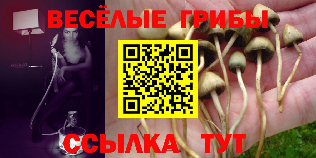 Псилоцибиновые грибы мухоморы Ишимбай